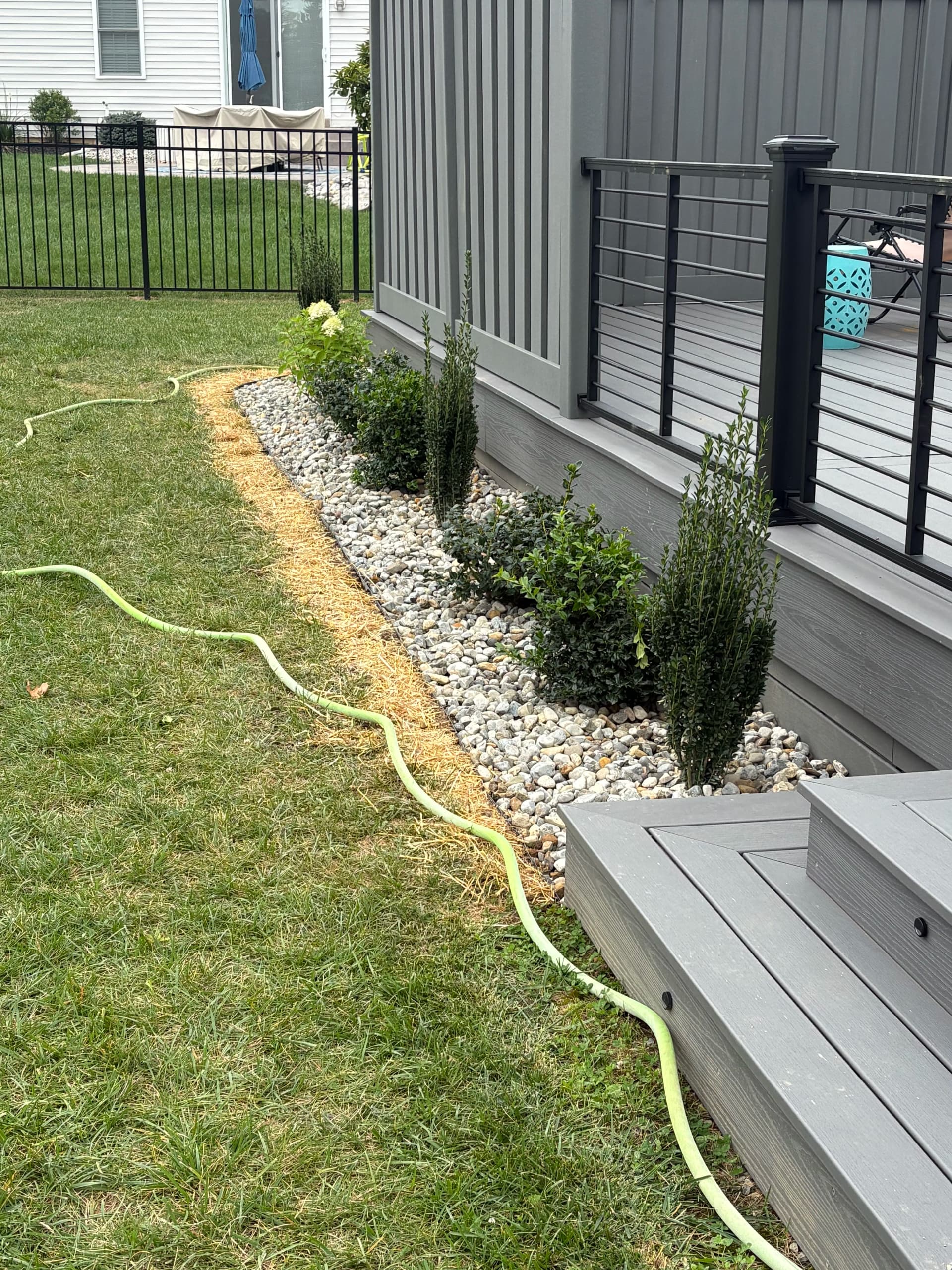 Rock Beds, Privacy Trees, and Clean Planting Beds Done Right