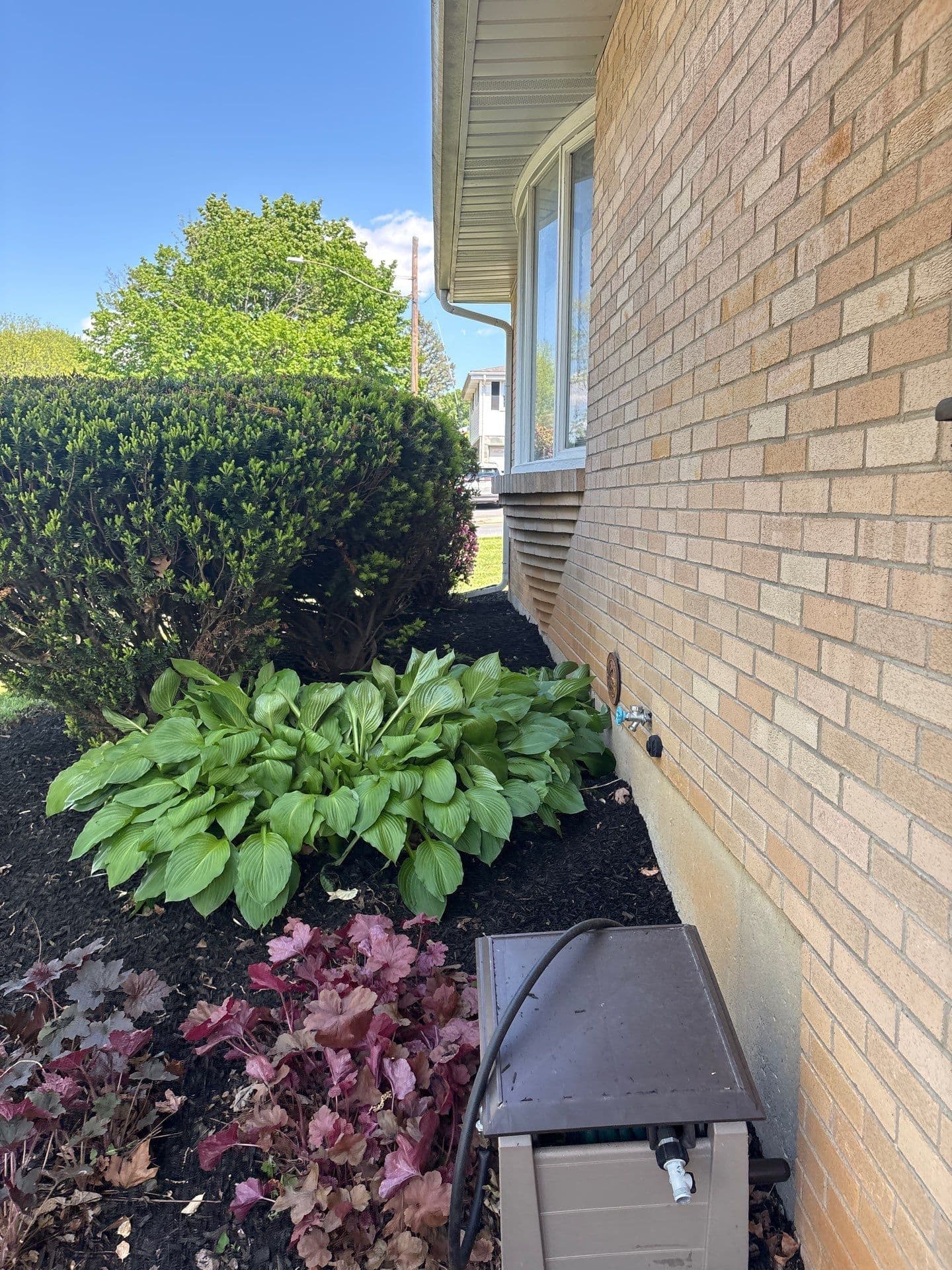 Shrub Trimming That Protects Your Home and Cleans Up the Look image