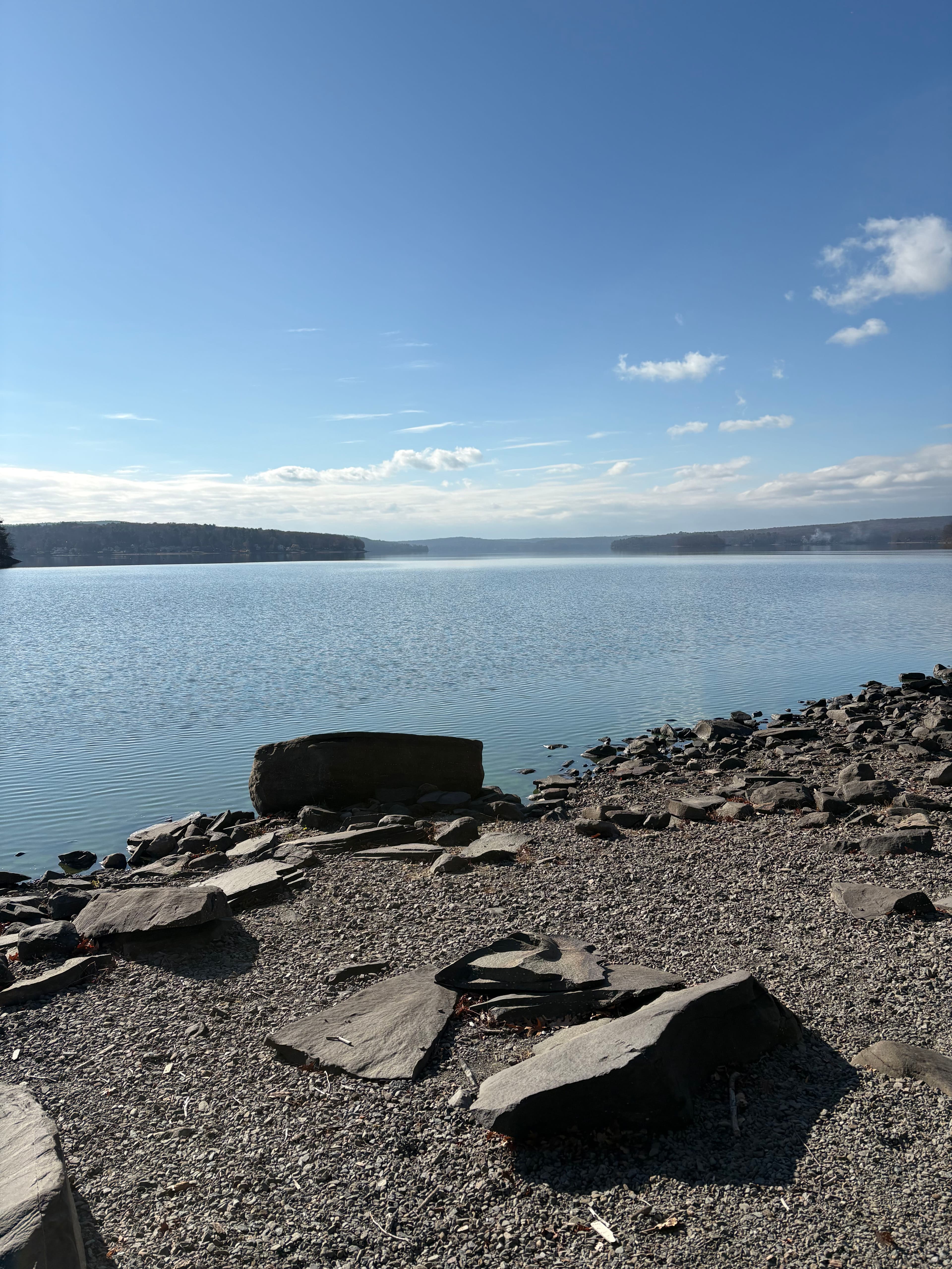 Project Embrace Nature's Beauty in Your Landscape image