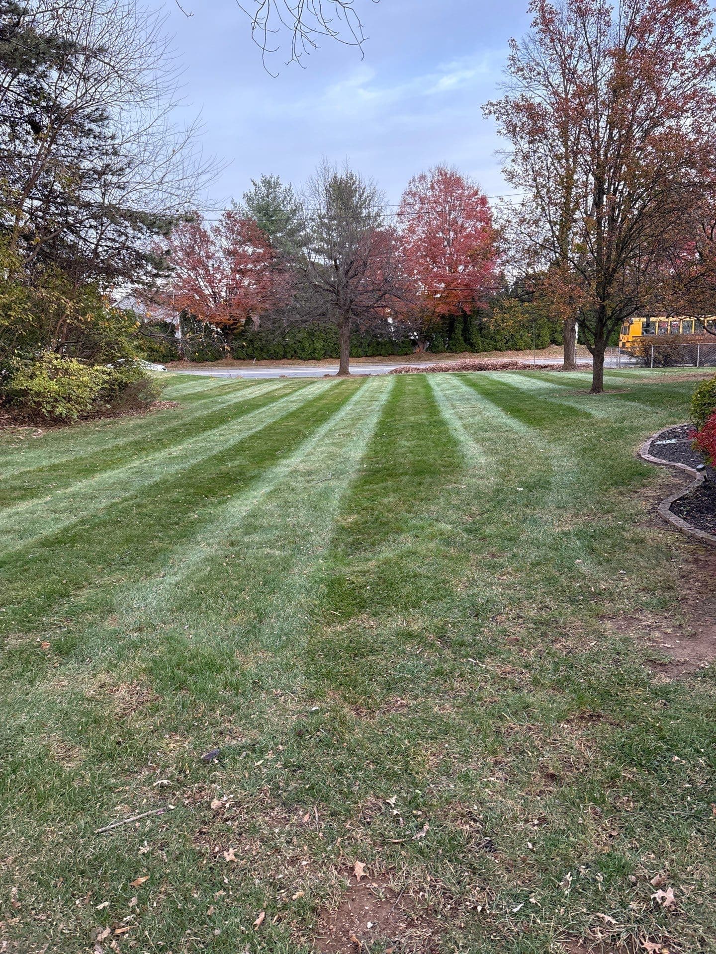 Project Elevate Your Lawn - Stunning Patterns for Fall Days image