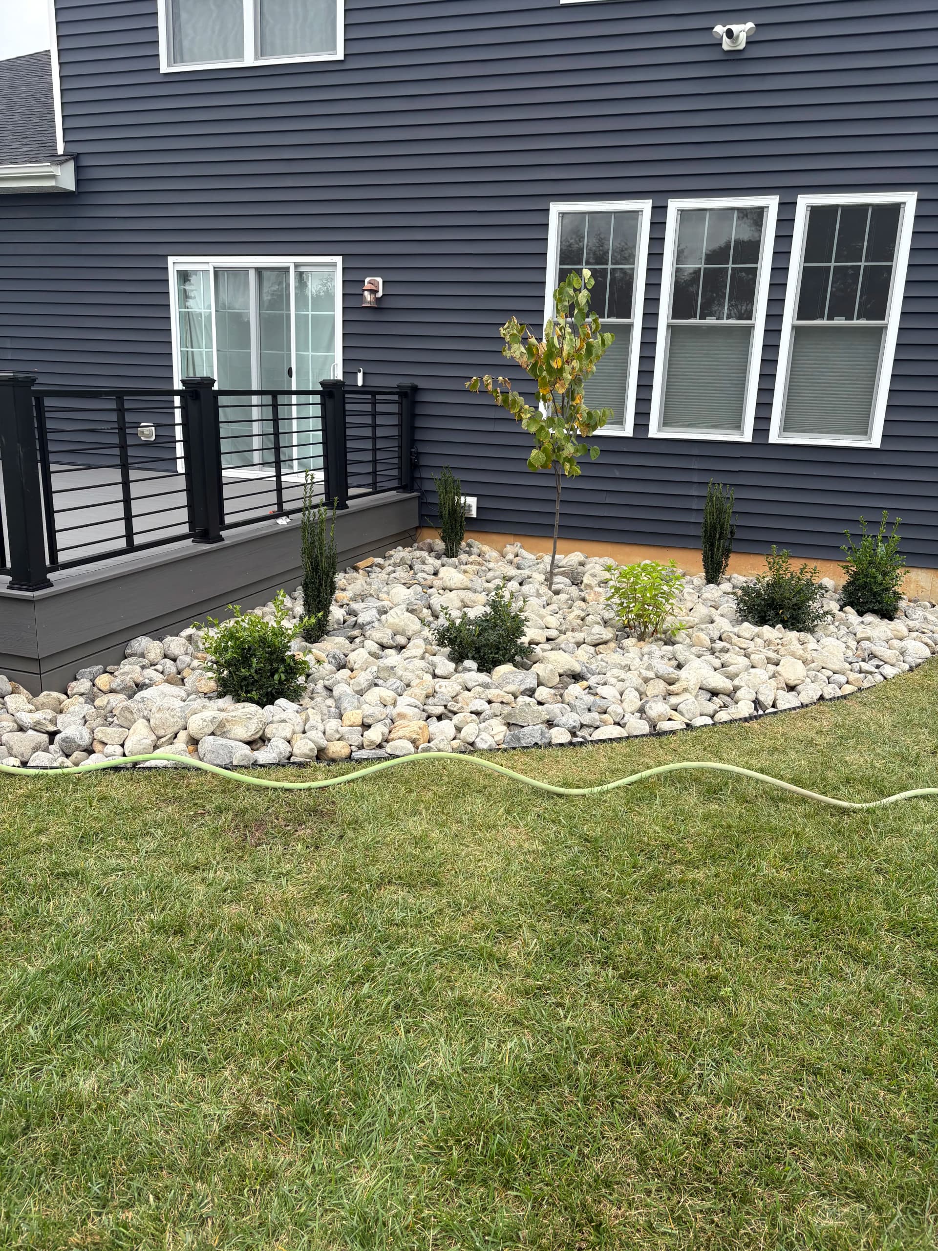 Rock Beds, Privacy Trees, and Clean Planting Beds Done Right