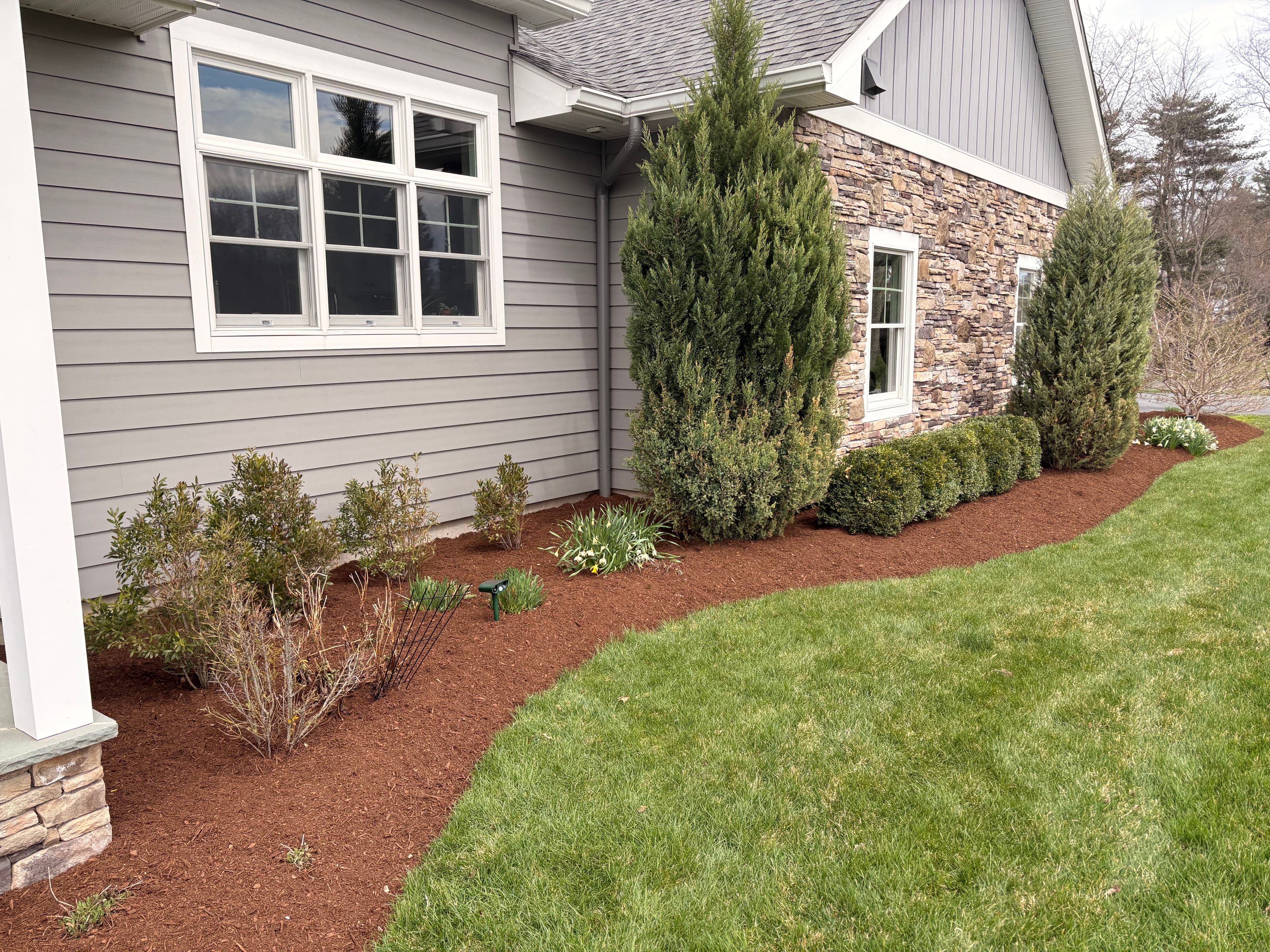 Project Fresh Natural Bark Mulch Makes a Serious Difference image