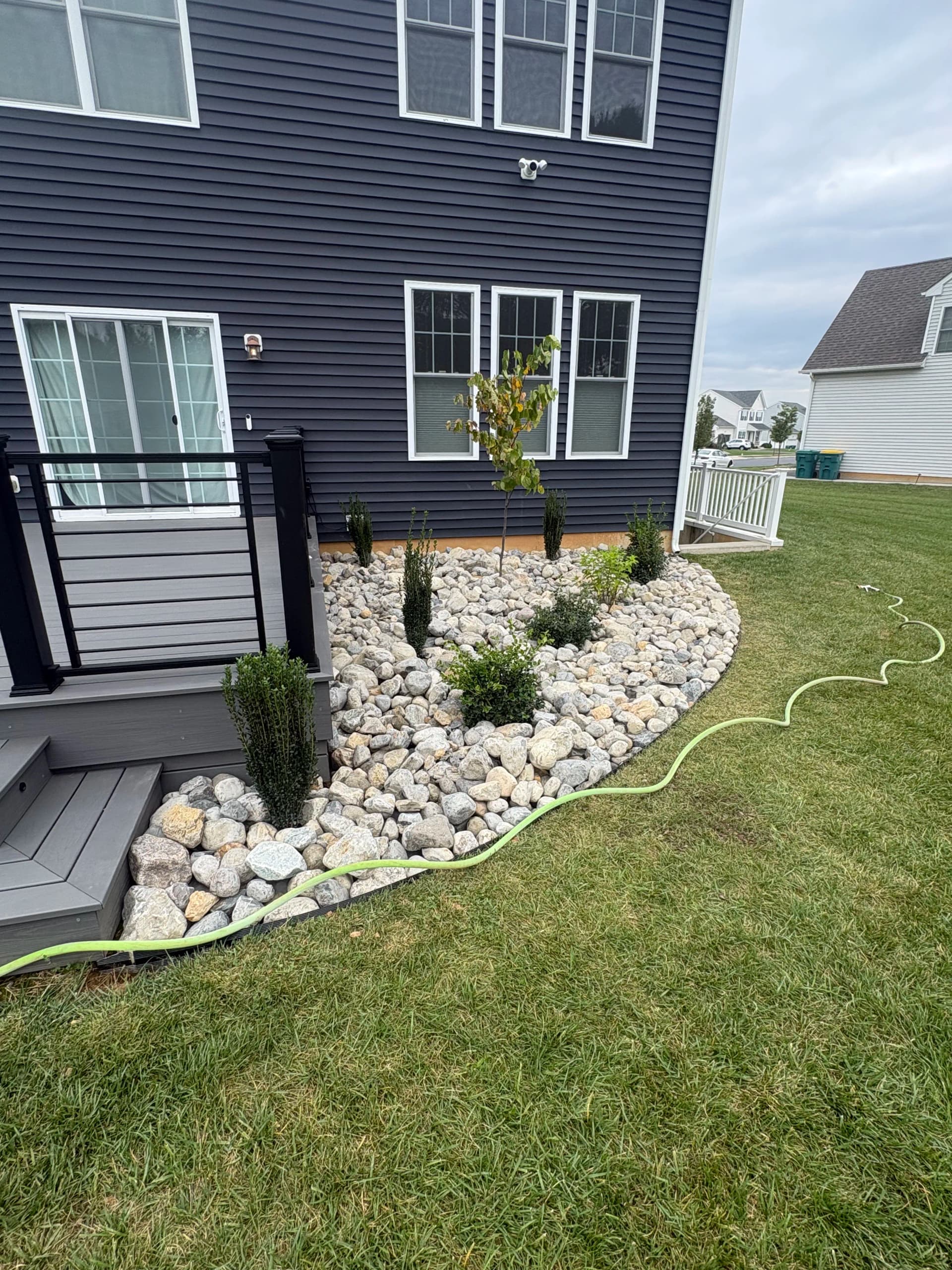 Rock Beds, Privacy Trees, and Clean Planting Beds Done Right