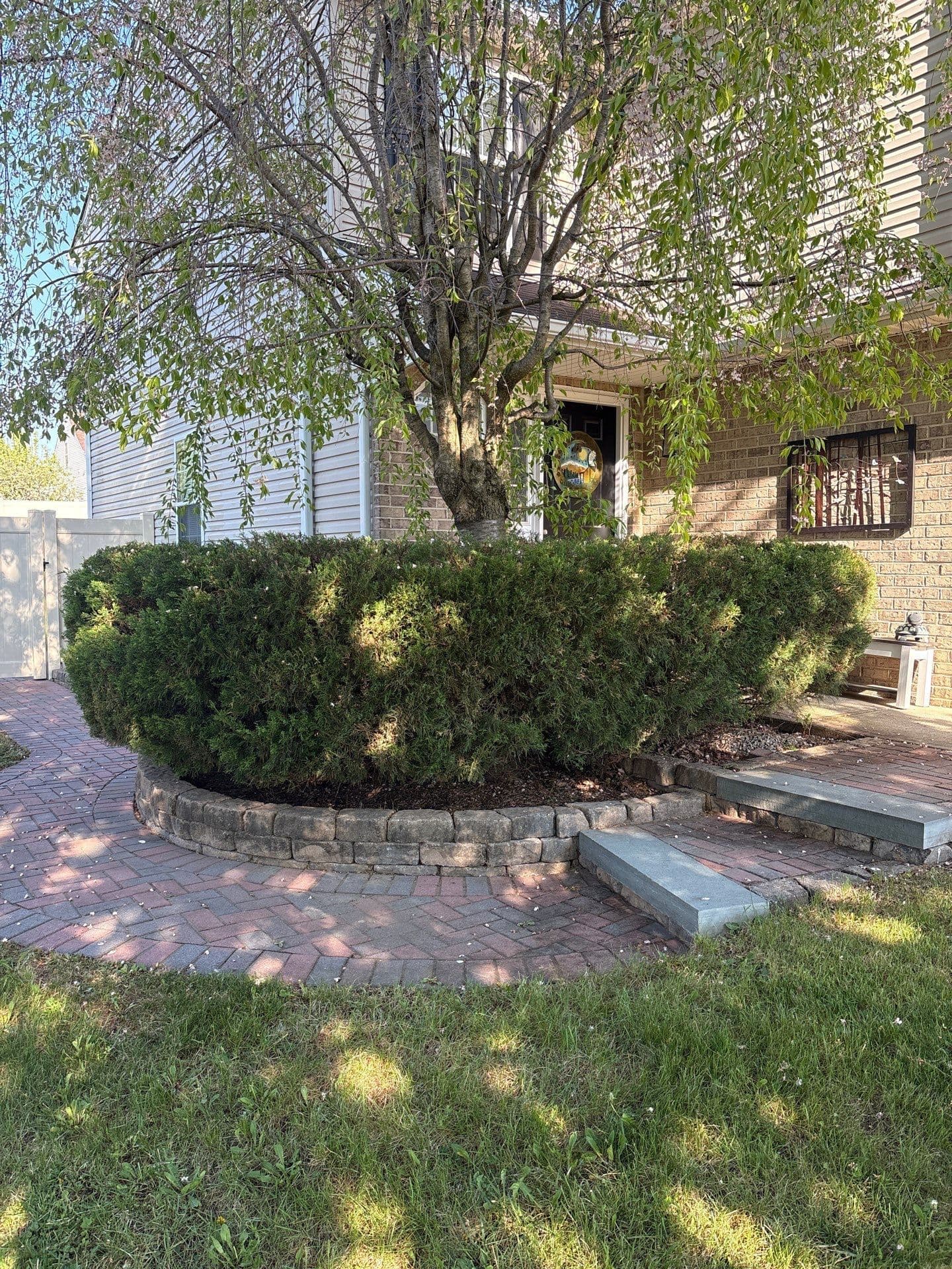 Overgrown Shrub Removal Opens Up This Palmer Township Front Yard image