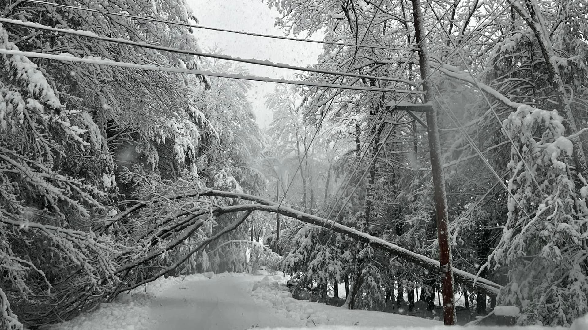 Get Ahead of Winter Weather with Our Snow Management Services image