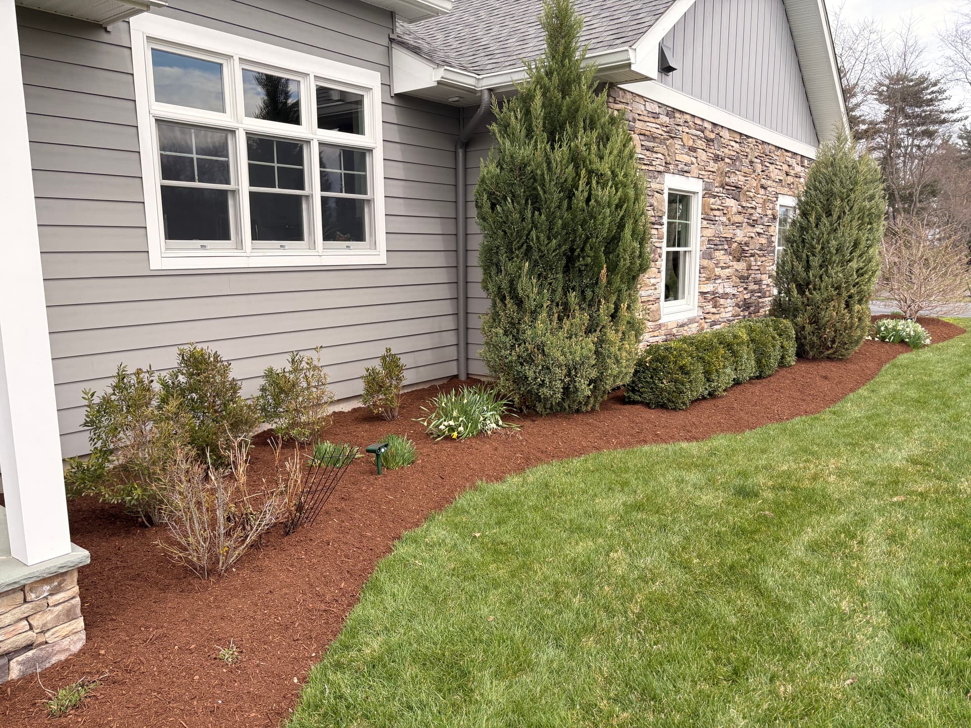 Fresh Natural Bark Mulch Makes a Serious Difference image